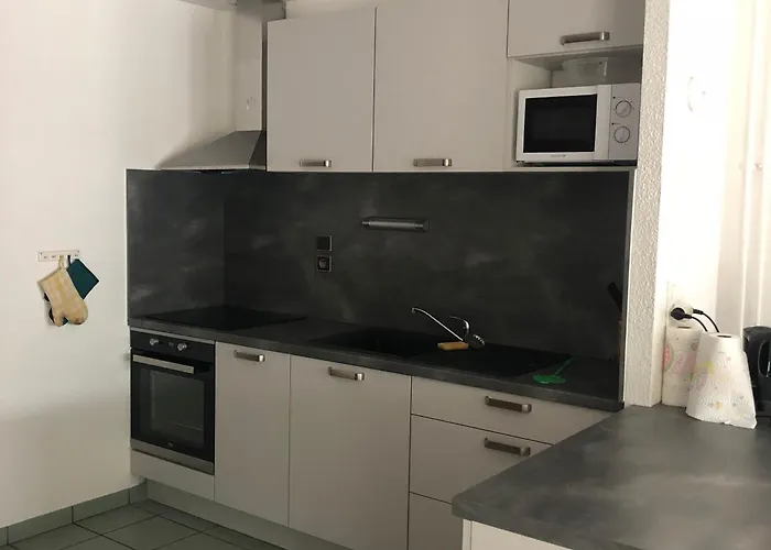 Authentique A Avec Cheminee, Terrain Clos, Proche Thermes Et Activites Culturelles - Fr-1-589-116 *